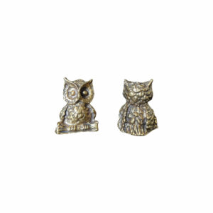 Smallest Owl 1 Inches In Nepal